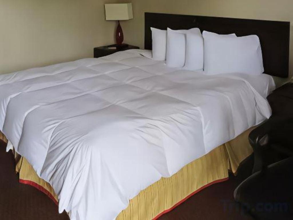 Red Roof Inn Florence, Sc Extérieur photo